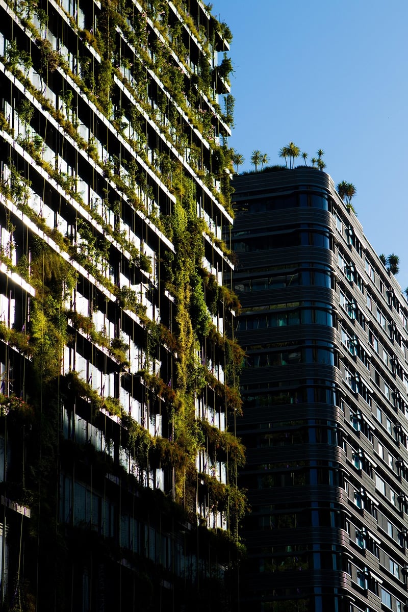 Sustainable Gardening Projects
