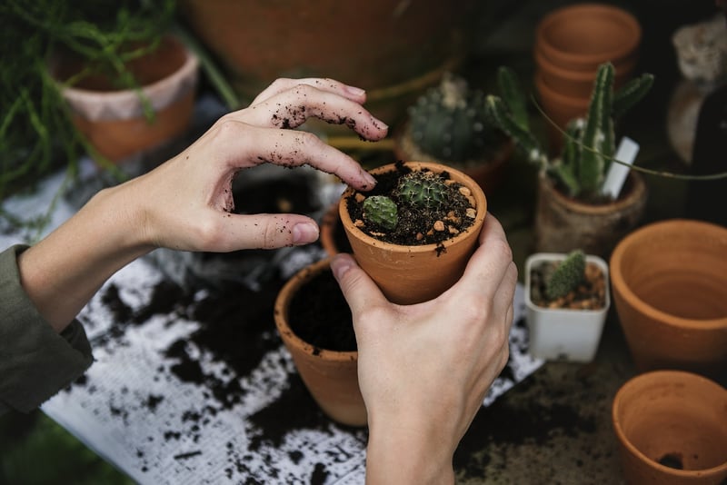 Tire Planters